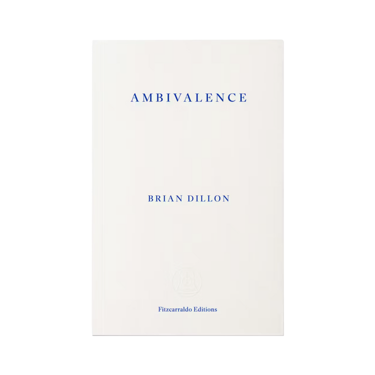 Ambivalence by Brian Dillon