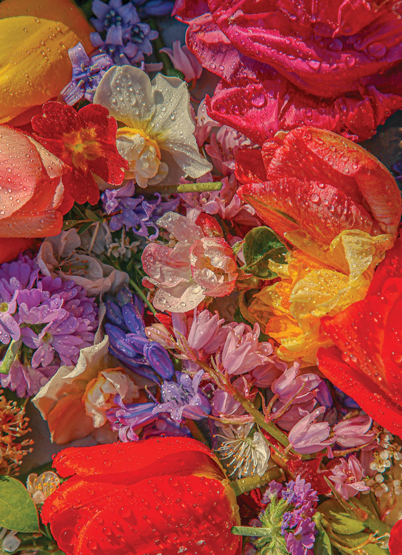 Blossom 1000 Piece Puzzle