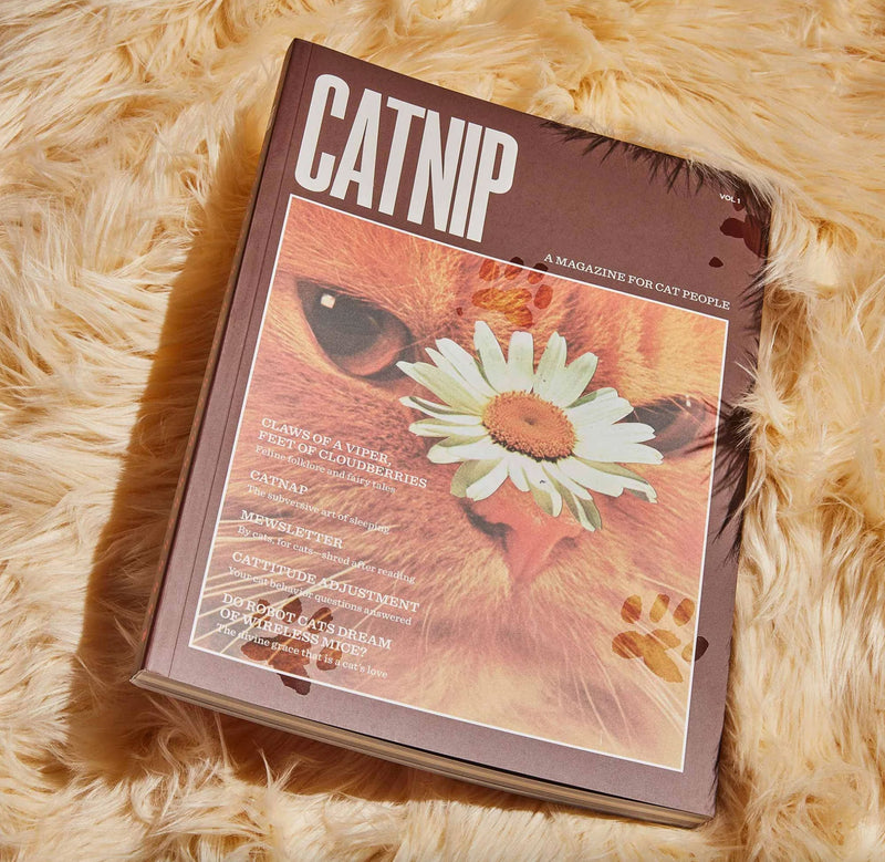 Catnip Magazine