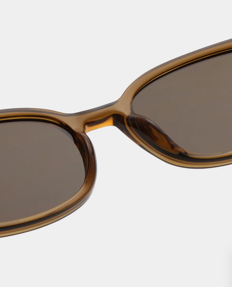 Charlie Sunglasses in Smoke Transparent