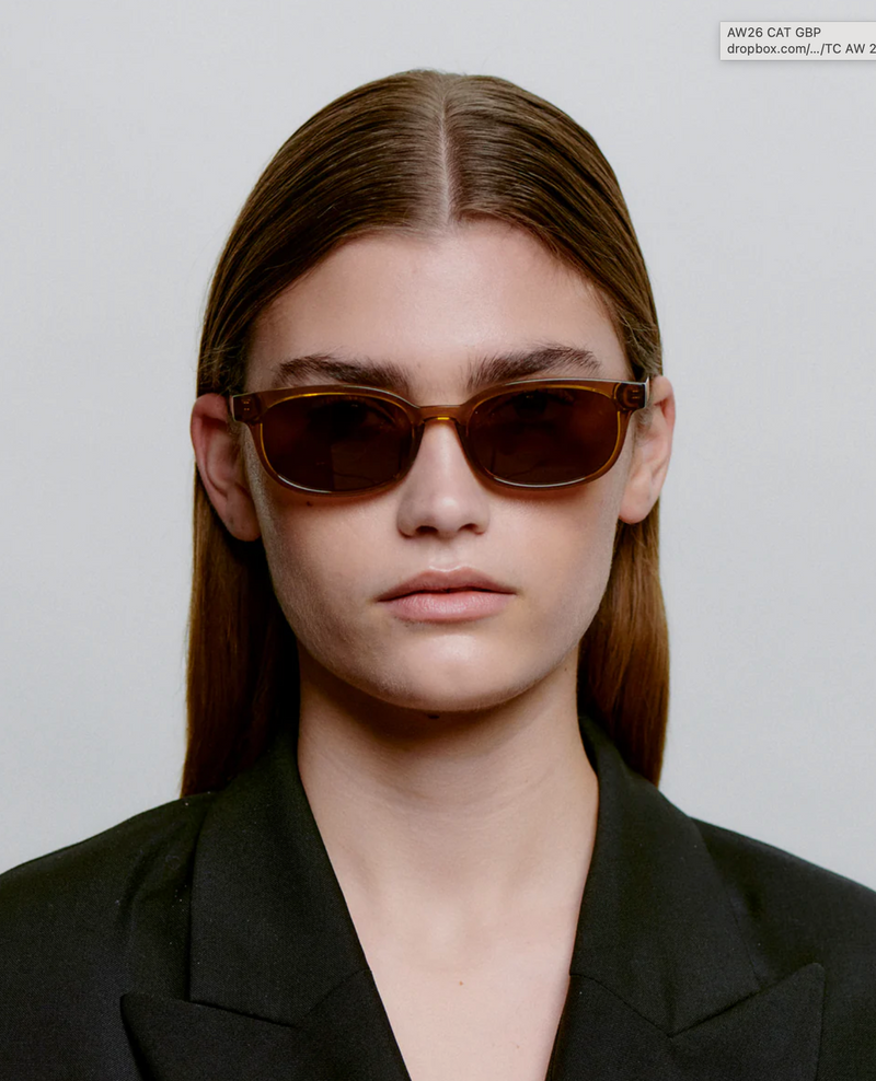 Charlie Sunglasses in Smoke Transparent