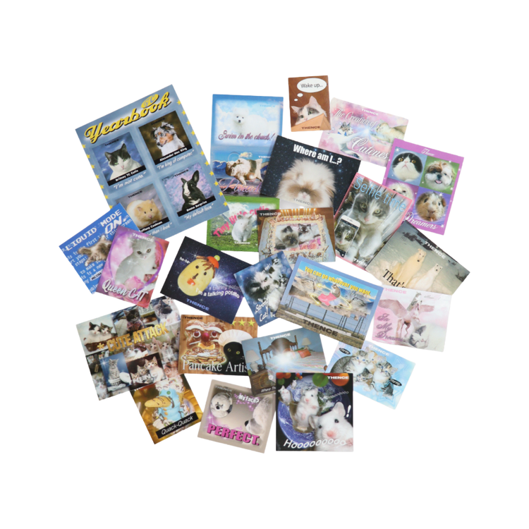 Meme Sticker Set - Ver.2