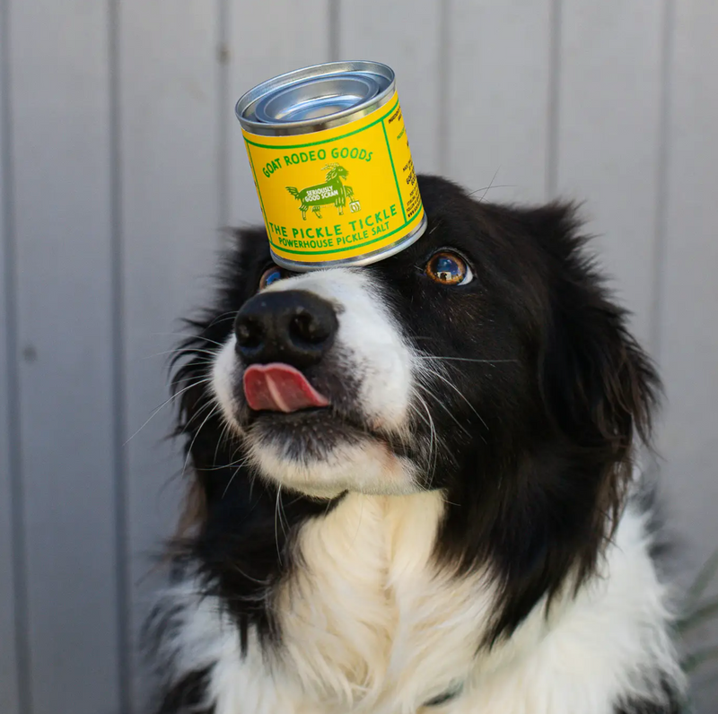 The Pickle Tickle Powerhouse Pickle Salt