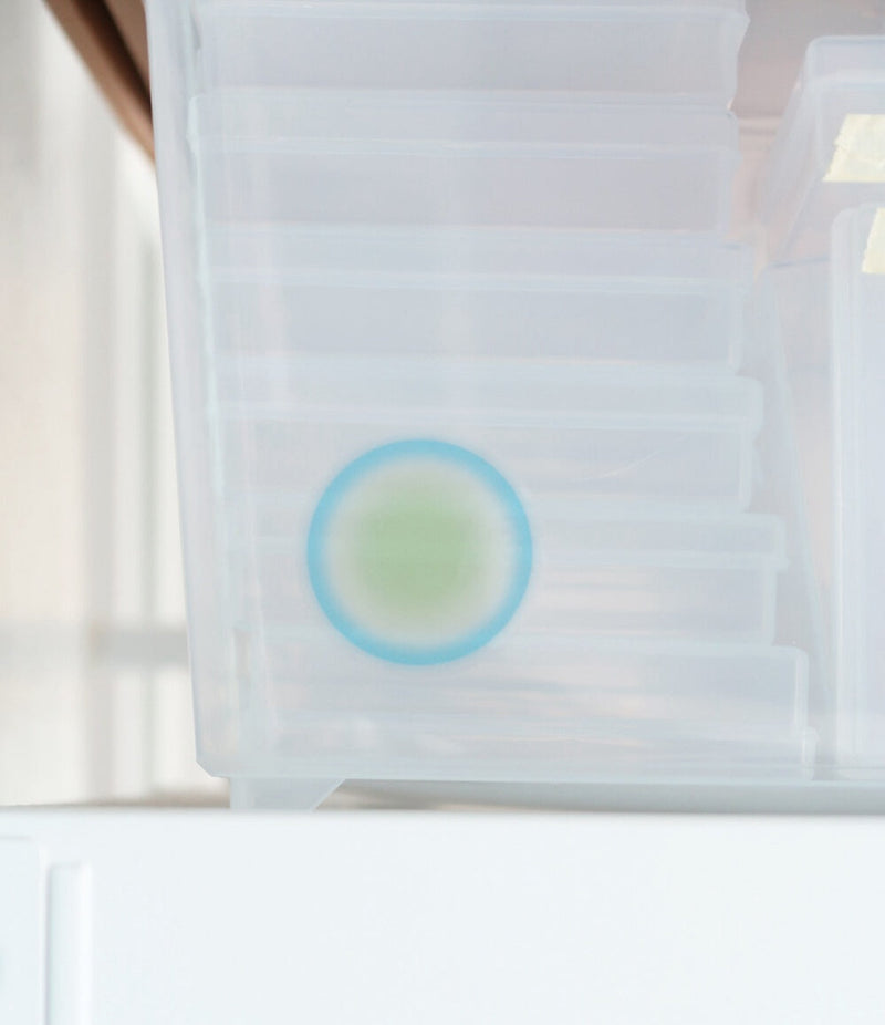 Circles Spread Sticker Set