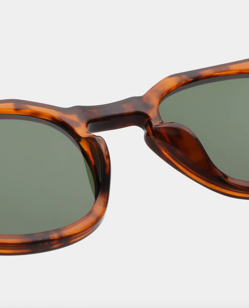 Zan Sunglasses