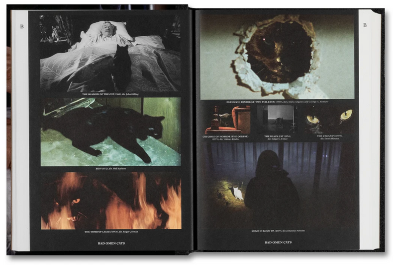 The Encyclopedia of Movie Cats: An A-Z of Felines On Screen
