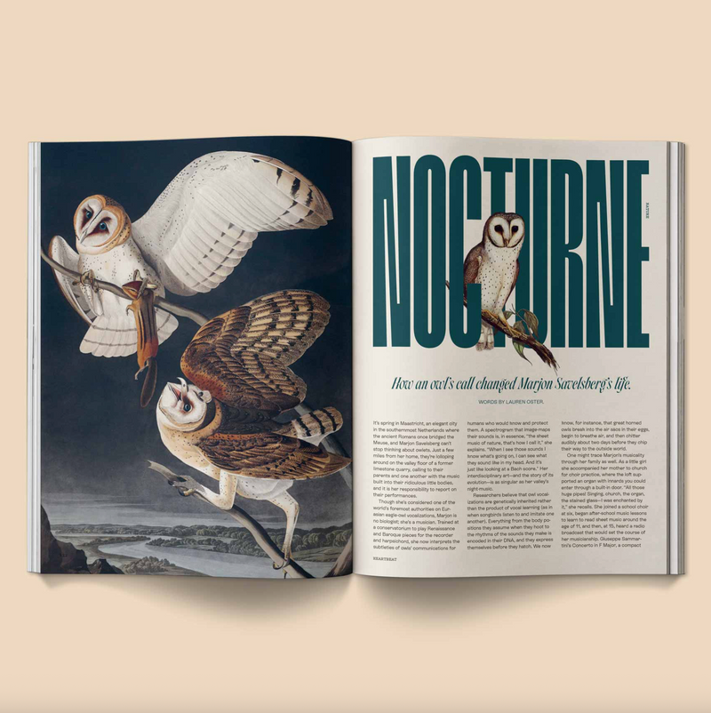 Heartbeat Magazine: Music, Sound, Emotion