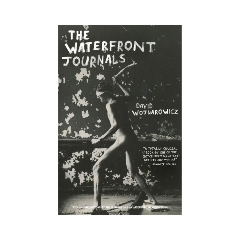 The Waterfront Journals by David Wojnarowicz