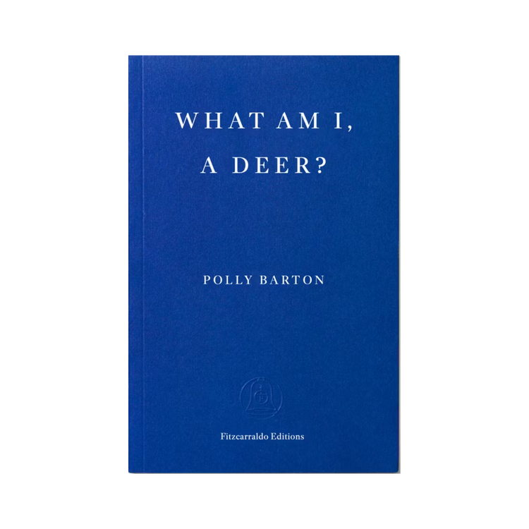 What Am I, A Deer? by Polly Barton