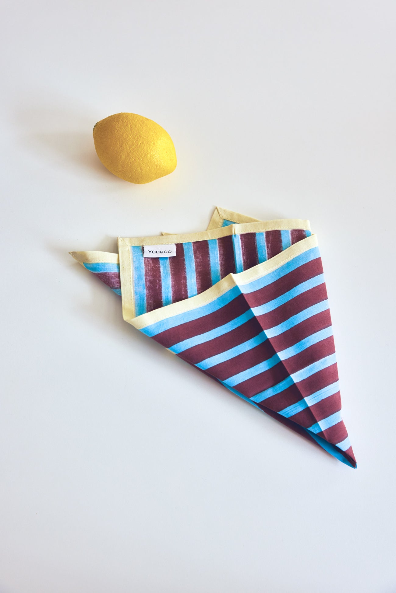 Block Stripe Napkins - Cyan / Russet