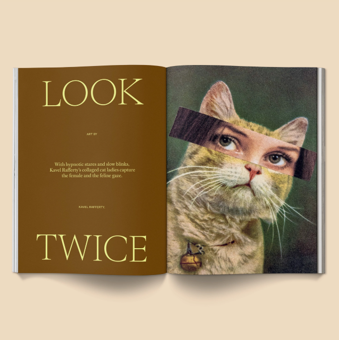 Catnip Magazine: Volume 2