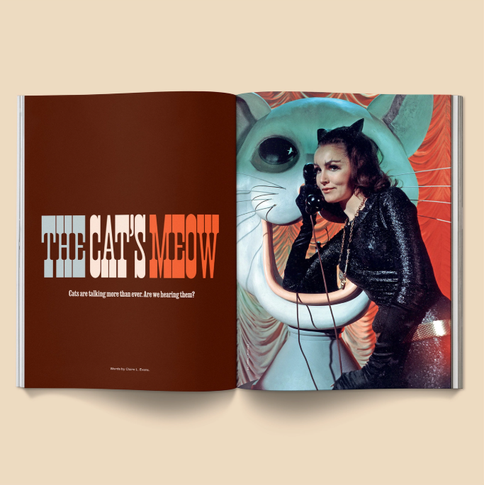 Catnip Magazine: Volume 2