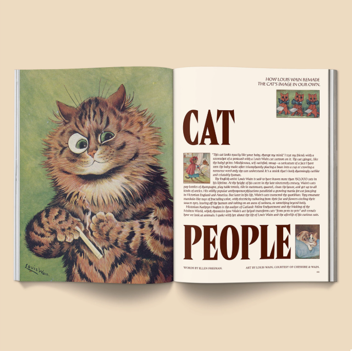Catnip Magazine: Volume 2