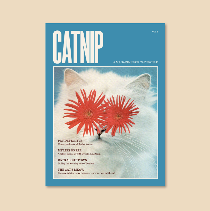 Catnip Magazine: Volume 2