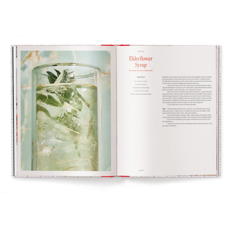 God Is A Pickle Book
