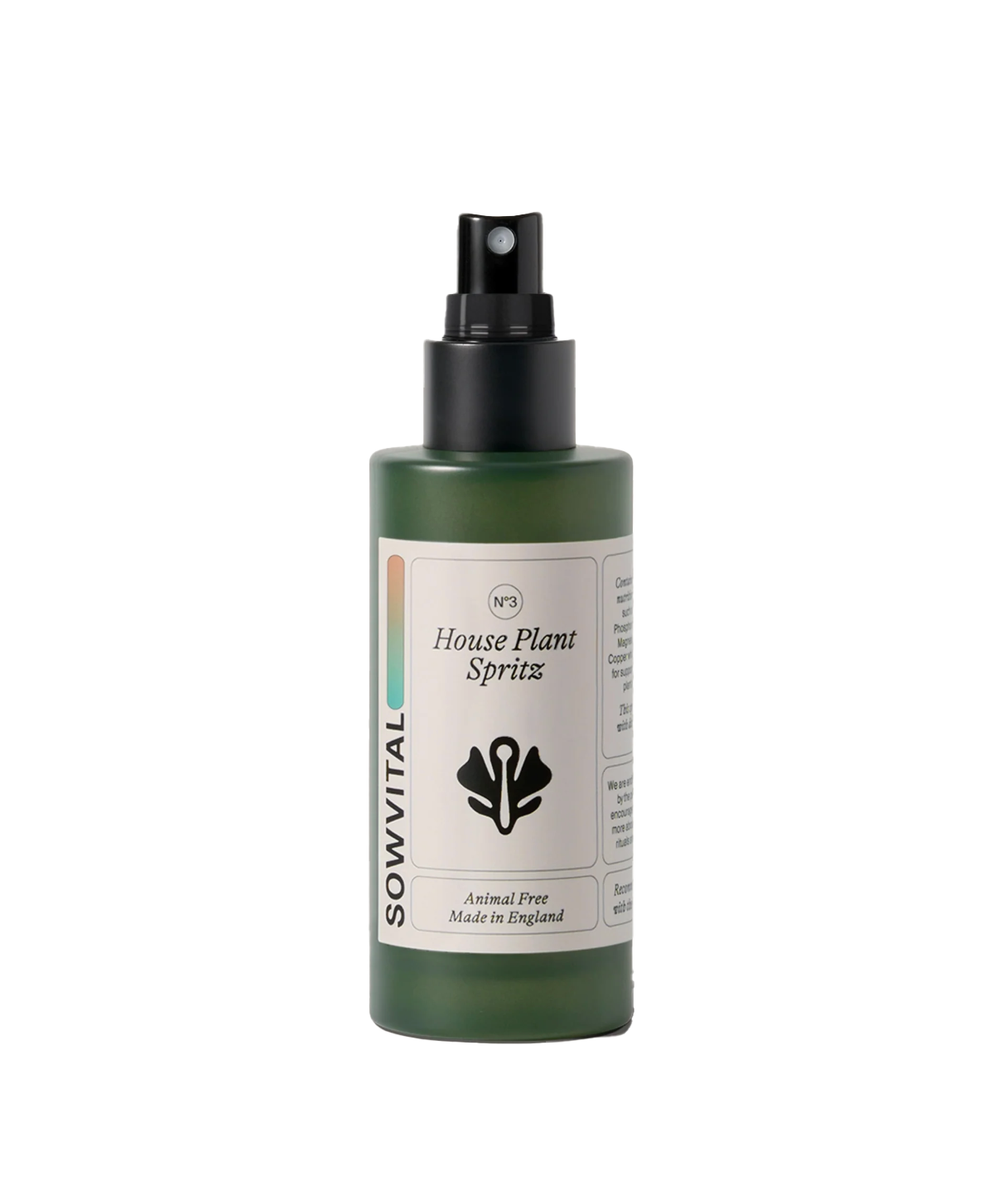 House Plant Spritz 100ml