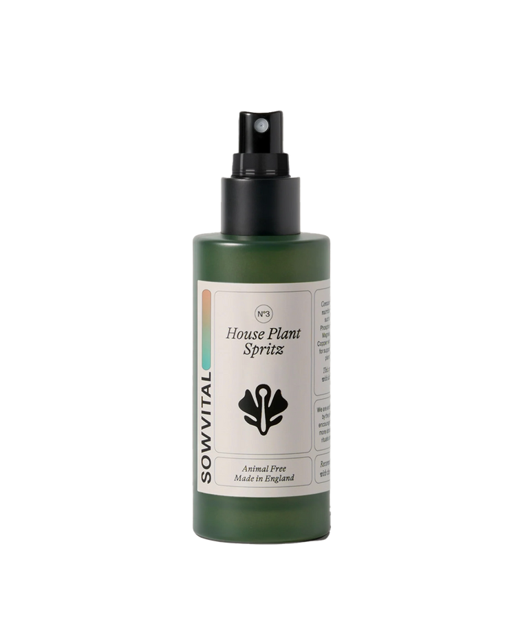 House Plant Spritz 100ml